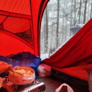 해움어린이집 | 2022년 1/4분기 결산(이라지만 별거없던 일상)