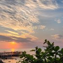 현지약국 이미지