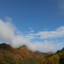 오병이어농장 이미지