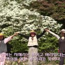 나야나 Daum카페