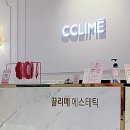 끌리메 티스토리