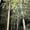 CU통영달아점 이미지