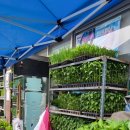 부흥종묘사 이미지