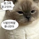 오산마트 네이버블로그