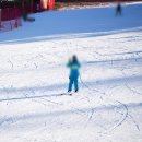 (주)더파크모터스 | 휘닉스파크 렌탈샵 방문 후기