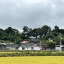 여암 신경준 묘역 이미지