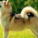 해운대 메디칼 이미지