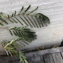 아띠하우스-3 이미지