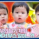 신흥농장2 이미지