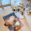 타이니 | 쌍둥이맘의 타이니모빌 실사용 후기 꿀팁