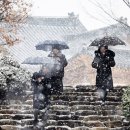 함박눈