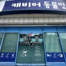 캐비어동물병원