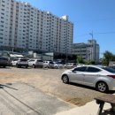 낙지마당평화점 이미지