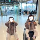 제주감귤농업협동조합중문지점 | [제주여행] 감귤과 함께한 제주 2박3일 (표선맛집, 귤따기체험, 올레길8코스)