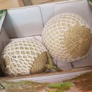 청강농원 이미지