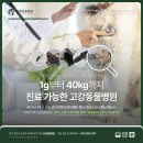 컴페니온 이미지