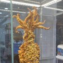 오짱강원속초점 이미지