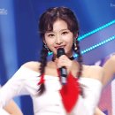 메리앤해피