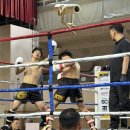 강한 태권도 | 태권도 VS 킥복싱 - DAFC 격투대회 출전 후기