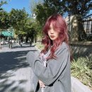 자이 헤어
