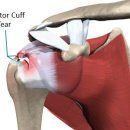 신세계재활의학과의원 이미지