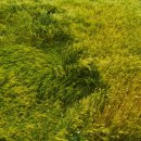 애월공명 이미지