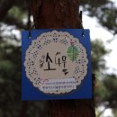 안산-대부-대부-3 이미지