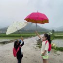 꿈이룸지역아동센터 이미지