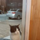 옹골슈퍼
