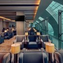 라운지독 이미지