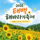 고원농장 | [강원도 태백 가볼만한곳] 해발 800m 고원에서 만나는 노란색 바다, ‘2026 태백 해바라기 축제’ 일정...