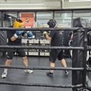 용인대SM복싱클럽 길동점 이미지