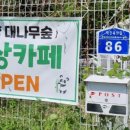 담양대나무숲명상카페