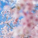 주식회사 전원부동산중개법인 이미지