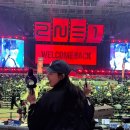 앵콜 | 투애니원 앵콜콘서트 후기 (올림픽 체조경기장 1층 2층 시야)