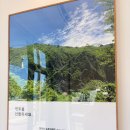 제주김만복 - 제주시 함덕28길 1 | 제주 여행 기념품 선물 쇼핑 <한라산과자점> 서귀포 본점 구매 후기! Feat.제주김만복김밥