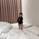 아라뷰스테이 이미지