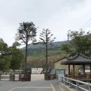 궁근정초 이미지