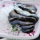 카멜리아 전주횟집 이미지