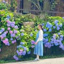 유정1955 이미지