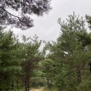 삼포마당넓은집 이미지