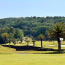 스프링데일 골프&리조트 (대중형 18홀) | 추천 일본골프여행 3색 나고야골프장 코코파리조트 패키지 정보 라운딩후기