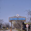 화랑오토캠핑장 | [내돈내산Life]도심 속 힐링 스팟! 안산 화랑 오토캠핑장 '준글램핑' 이용 후기 ✨/ 다자녀50%할인