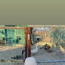 청송한우마을 이미지