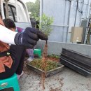 수막 목장 이미지