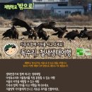 ＜가족체험-체험학교 밖으로＞가족과 함께 떠나는 독수리 철새 생태여행-자연과사람들(마감되었습니다.) 이미지