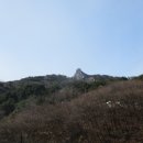 장전초등학교 이미지