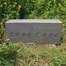 밤섬