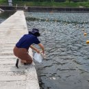 운문댐하류보2 이미지