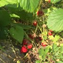 녹원어린이집 이미지